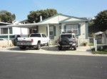 link to info for Pecan Community Assn 63