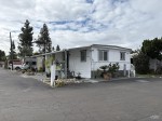 Link to Listing Details for Olive Acres Trailer Park space 42B